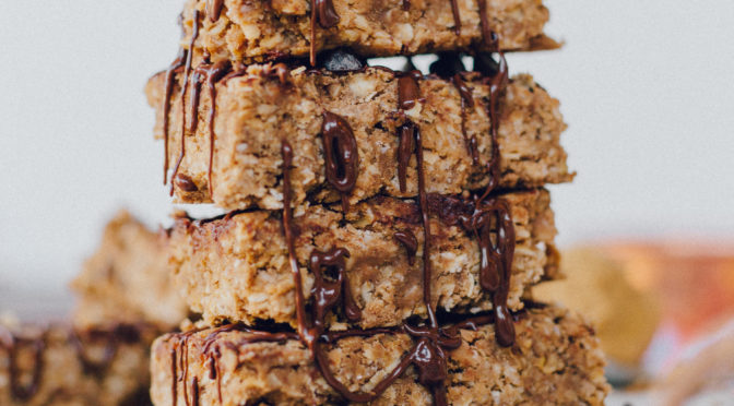 5 ingredient vegan protein bars