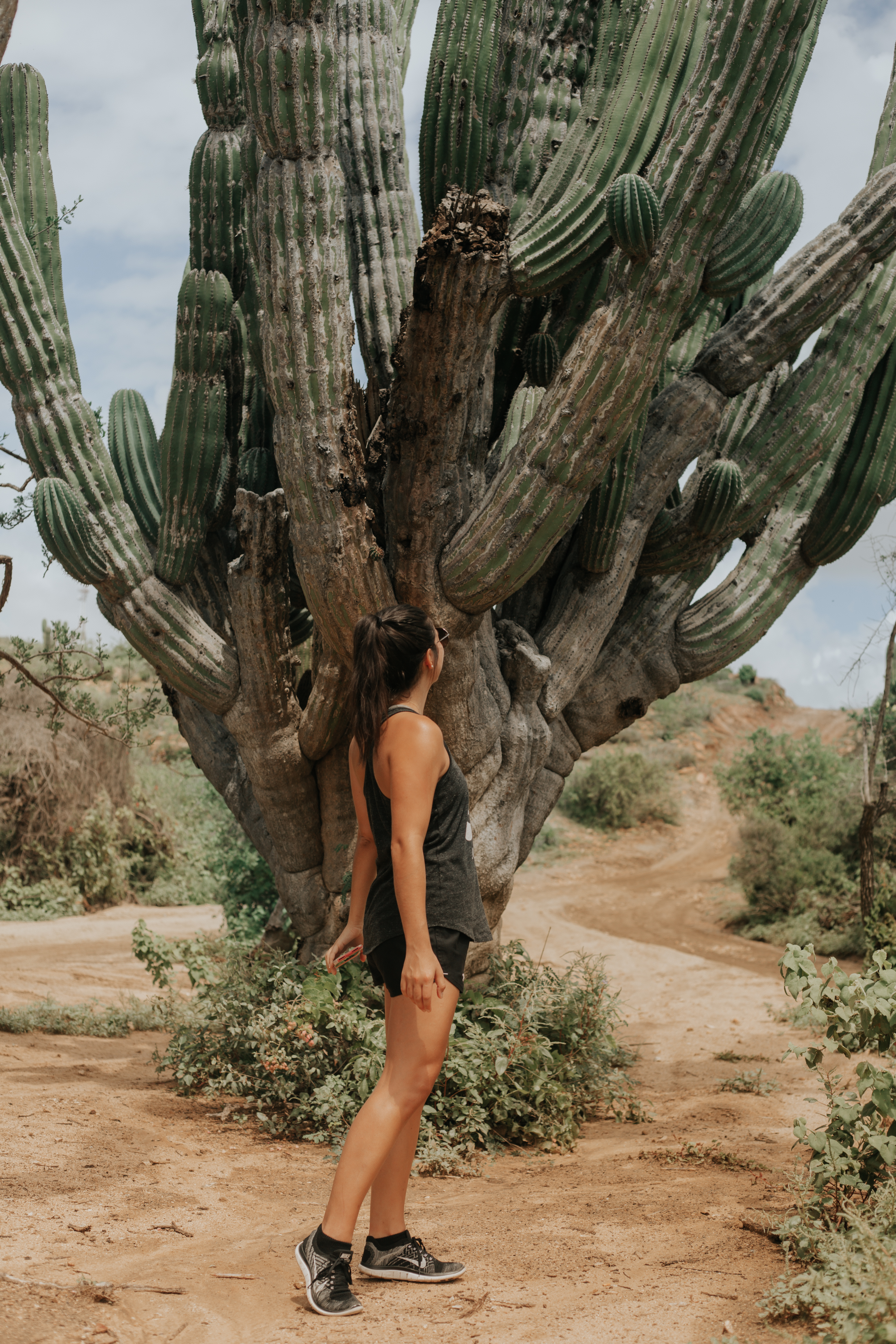 Los cabos mexico travel vacation guide