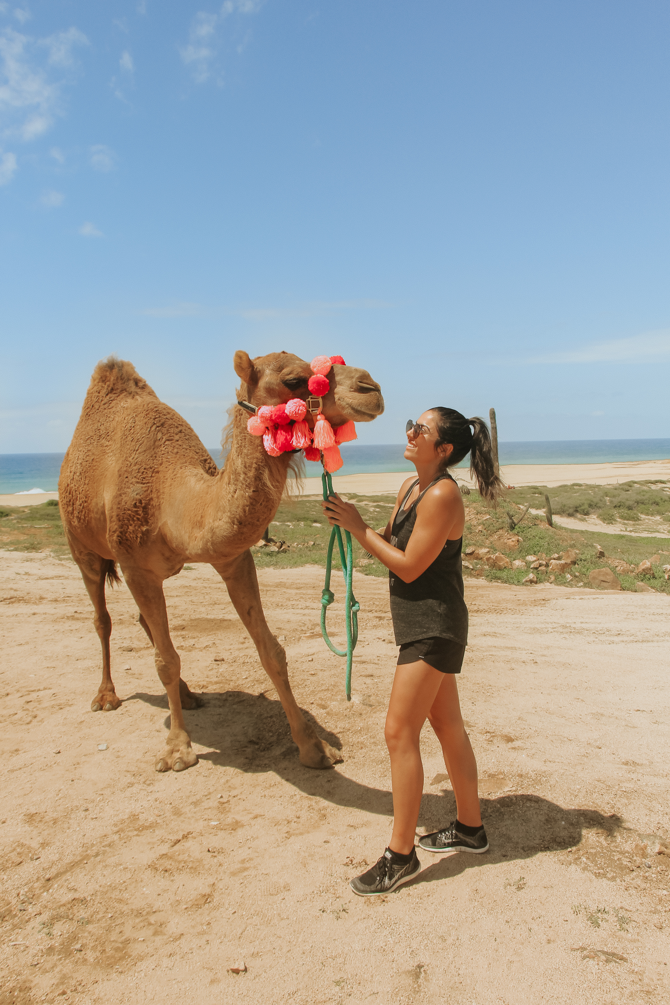 Los cabos mexico travel vacation guide