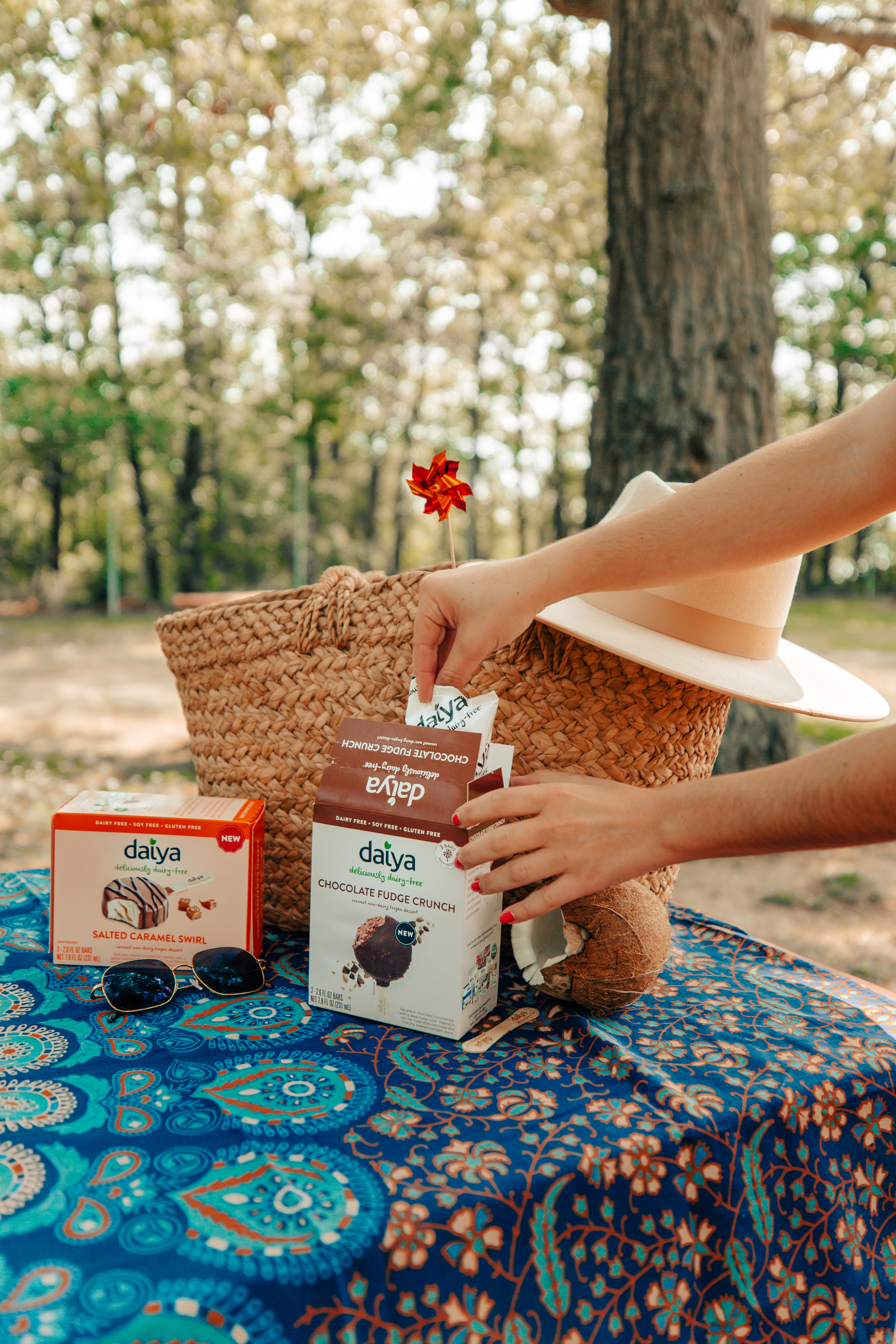 Easy Date Night Idea, Picnic in the Park (vegan)